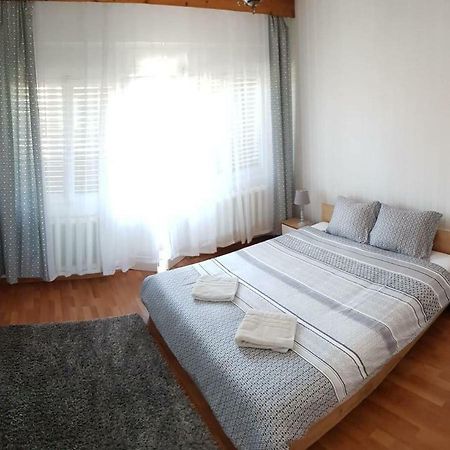 Premium Central Apartment オラデア エクステリア 写真